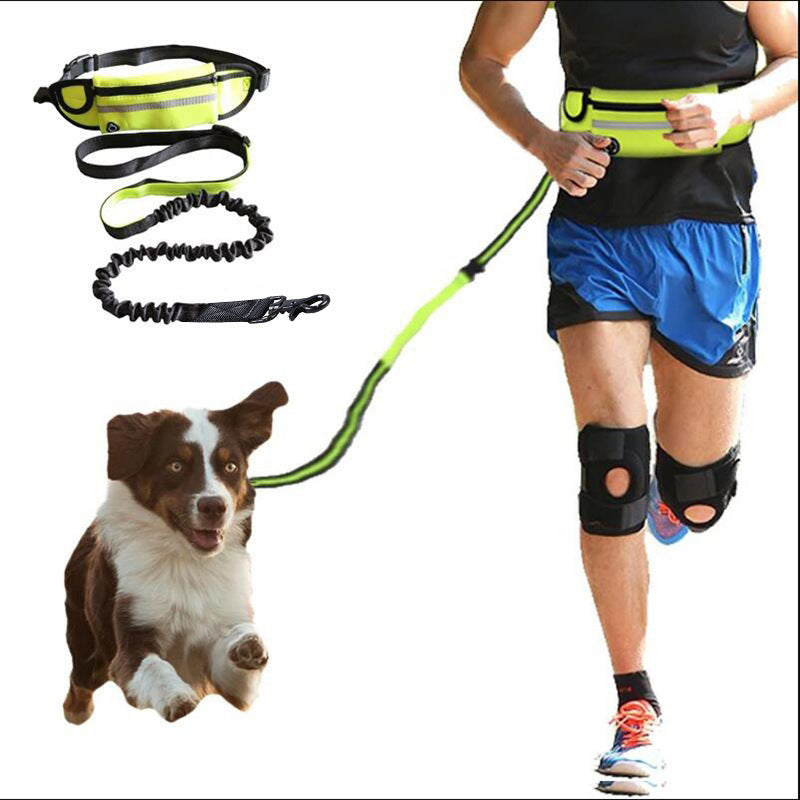 Hands-Free Dog Leash for Effortless Pet Walking and Training