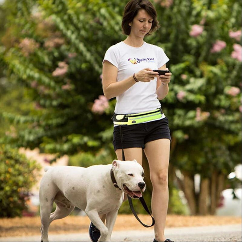 Hands-Free Dog Leash for Effortless Pet Walking and Training