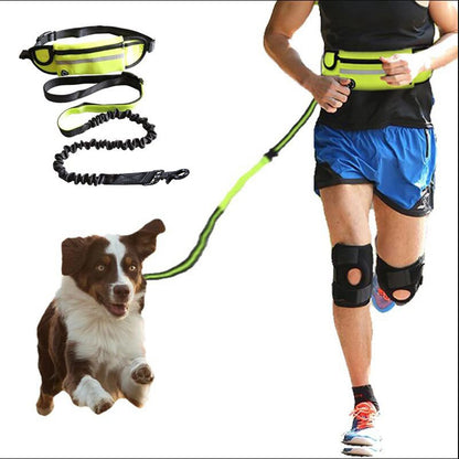 Hands-Free Dog Leash for Effortless Pet Walking and Training